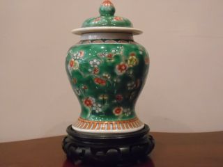 Fine 19th Century Chinese Famille Verte Porcelain Prunus Hawthorne Ginger Jar