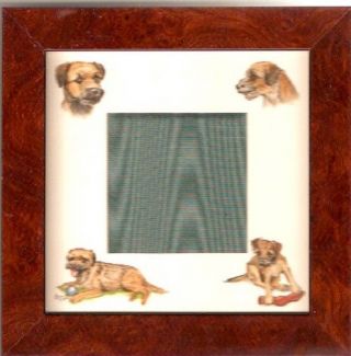 Border Terrier Frame Art By Bryn Parry Last One