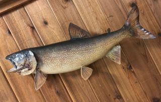 Vintage Lake Trout Fish Salmon Brown Taxidermy Trophy Real Skin Wall Mount