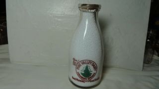 Colo.  Milk Bottle,  Pine Valley Dairy,  Squat Round Quart In Red & Green Pyro