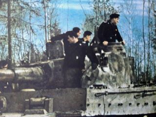 WWII Germany tank panzer Tiger color photo postcard - RRR 2
