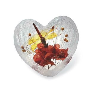 Dragonfly Real Preserved Specimen Heart Shape Desk Paperweight Paper Weight