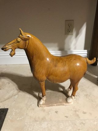 Antique 15  Chinese Tri - Coloured Yellow Glazed Pottery Ceramic Horse