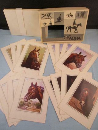 Aqha American Quarter Horse Champion Greeting Cards Stationery By Orren Mixer