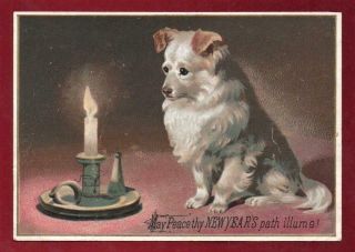 Victorian Dog By Candlelight Christmas Greeting Card