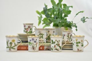 Set Of Eight Hand Painted In Denmark Vintage Flora Danica Style Cups And Saucers