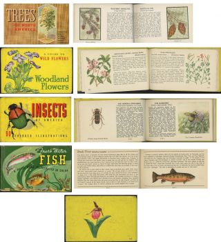 5 Vintage Whitman Trees,  Insects,  Wild Flowers,  Fresh Water Fish - Color Books