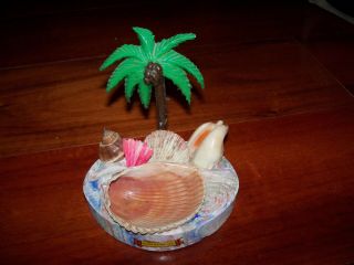 Vintage Seashell Decor Display Souvenir Palm Silver Springs Florida Chalkware