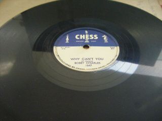 Bobby Charles Why Cant You / Put Your Arms Around Me Honey Ex Usa Pressing