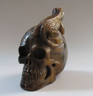 Exquisite Hand - Carved Skull And Lizard Carving Tiger Eye Stone Statue B150