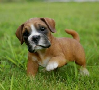 Boxer Puppy Dog Playing Adorable - Life Like Figurine Statue Home / Garden