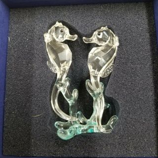 Swarovski Two Sea Horses Seahorses Crystal Figurine 0885589