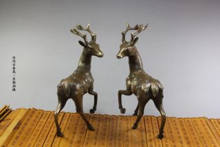 China Handmade Antique Bronze A Zodiac Horses Figurines Statues