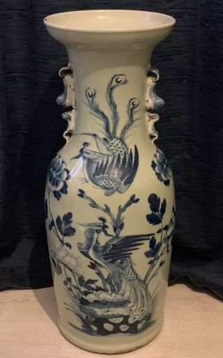 Antique Chinese Celadon Vase Large Phoenix 19th Century