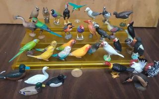 35 Kaiyodo Chocoq Birds,  Ducks Swan Budgie Macaw Chickens Finches Owl Eagle Gull