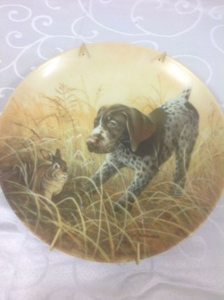 Knowles " Field Puppies " Collector Plate By Lynn Kaatz - 5 W/coa & Box - " Fritz