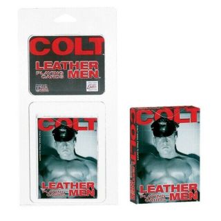 Colt Male Leather Male playing cards - 54 Coated Playing Cards Sexy Male Images 3
