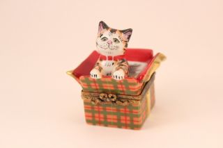 Rochard Limoges France Peint Main Gift Present Tabby Cat Pill Trinket Box Signed