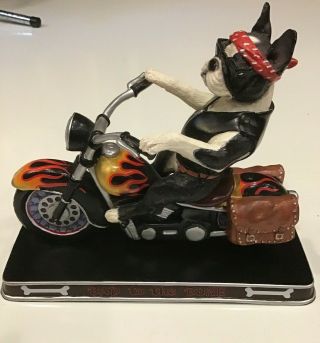 Boston Terrier Bad To The Bone Sculpture Danbury Dog On Motorcycle -