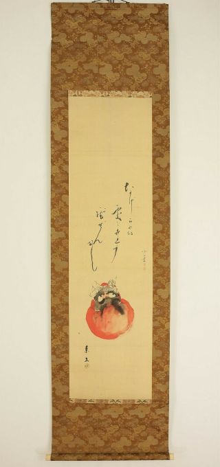 掛軸1967 Japanese Hanging Scroll : Matsumura Keibun " Bodhidharma " @n903