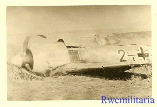 Org.  Photo: Us Soldier View Shot Down Luftwaffe Fw.  190 Fighter Plane In Field