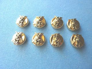 Vintage Shriner Masonic Freemason Gold Eagle Button Covers Set Of 8 96 Pins
