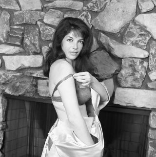 1960s Vogel Negative,  Sexy Brunette Pinup Girl Susan Walter,  Cheesecake,  T228401