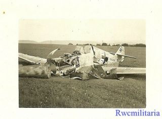 Rare Shot Down Luftwaffe Me - 109 Fighter Plane (yellow " 4 ") In Field (1)