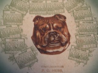 VINTAGE 1908 P.  O.  HESS ADVERTISING CALENDAR PLATE GENERAL MERCHANDISE BULL DOG 3