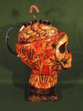 Unique Vintage Style Anatomical Head Zombie Skull Anatomy Outsider Art Sculpture