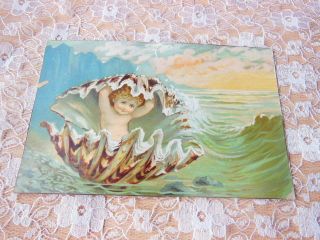 Victorian Christmas Card/fairy Child Taking Cover In Seashell