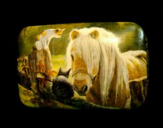 Persis Clayton Weirs Wild Wings Horse & Cats Hinged Trinket Jewlery Box Pc