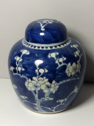 Antique 19th Chinese Blue & White Prunus Ginger Jars Pot Kangxi Circle Marks 2