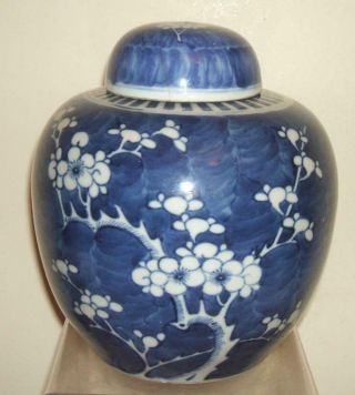 Chinese Blue And White Prunus Vase Jar