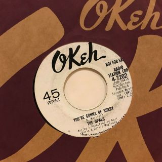 Northern Sweet Soul 45 The Opals You 