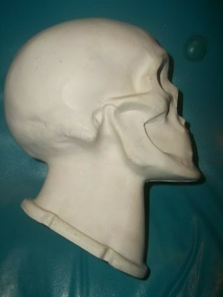 Vintage Mortician Embalming Reconstruction Skull Mortuary Science Funeral Death 3