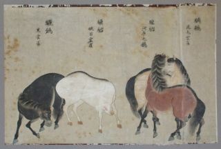Fine Antique Chinese Ink And Wash Painting - Horse Study 2