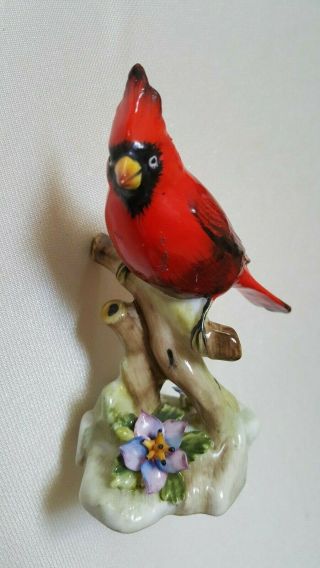 Royal Adderley Floral Bone China Made In England Cardinal Bird Figurine - Appr.  5 "