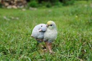 Pacific Parrot Couple on Branch Figurine - Life Like Statue Home / Garden 3