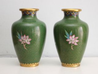 A Pair Antique Chinese Cloisonné Gilded Vases,  Peonies on Green 3