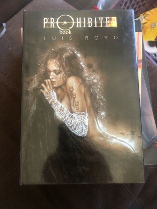 Prohibited Book By Luis Royo - Hardcover