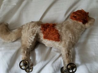 Very Early C1906,  Steiff Button - In - Ear,  Mohair Dog On Cast Iron Wheels,  Pull Toy