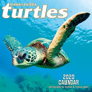 2020 Wall Calendar - Hawaiian Sea Turtles By Michael & Monica Sweet,  11in X 11in