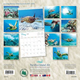 2020 Wall Calendar - Hawaiian Sea Turtles by Michael & Monica Sweet,  11in x 11in 2
