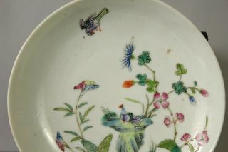 (2) A Chinese famille rose dish with pigeon doves seal mark to base 19th/20thc 3