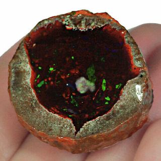 81.  6ct Natural Ethiopian Black Chocolate Opal Specimen Collectible Ubqg986