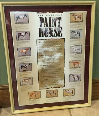 American Paint Horse Association Apha Colors & Patterns Matted Framed Print
