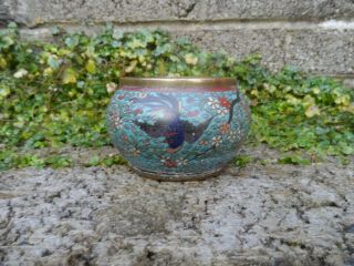 Antique Chinese Japanese Cloisonne Bowl With Birds 19th Century Enamel