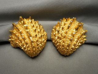 1960s Signed Mimi Di N Clip Earrings - Gold - Tone Spiny Oyster Shell Motif