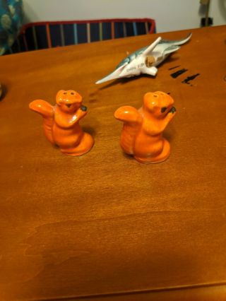 Vintage Cleaning Face Sitting Squirrel Salt And Pepper Shaker Ceramic